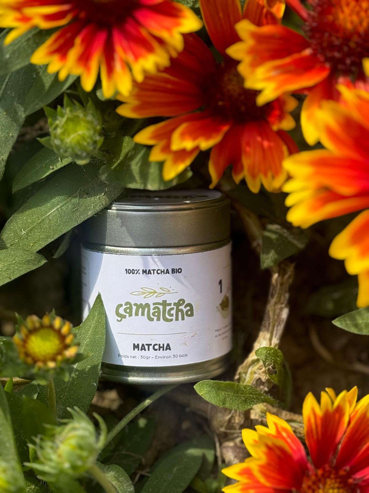 MATCHA CEREMONIE