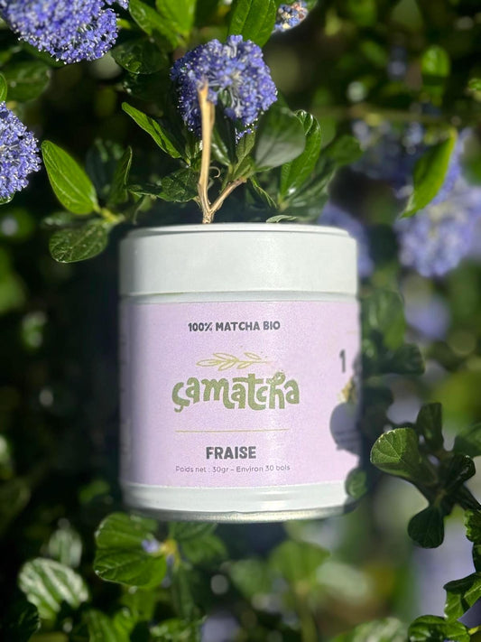 MATCHA FRAISE